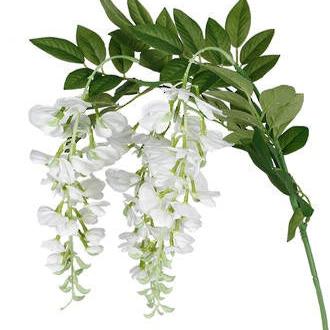 Wisteria Spay - white