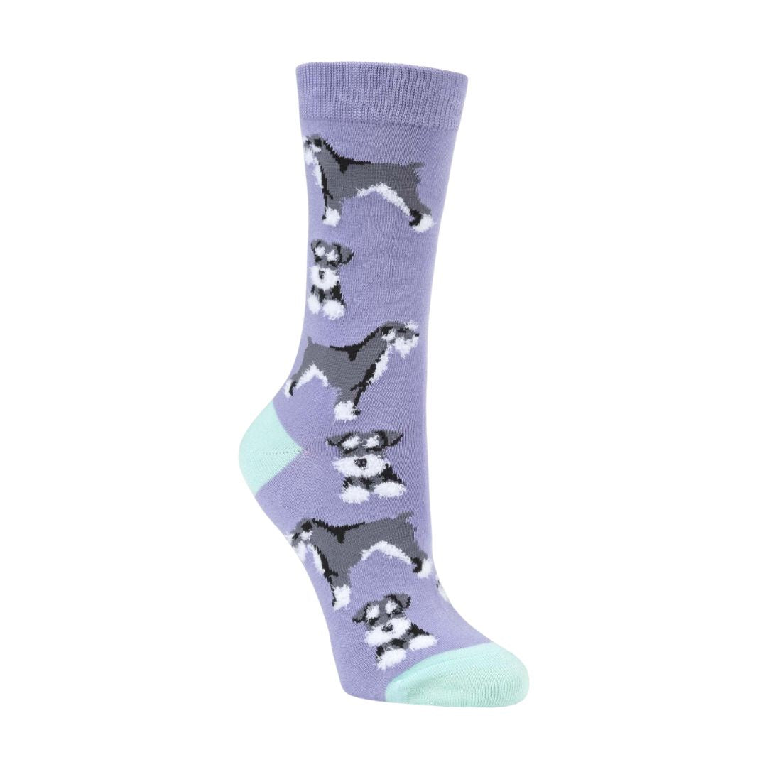 Purple socks with dog pattern on a white background