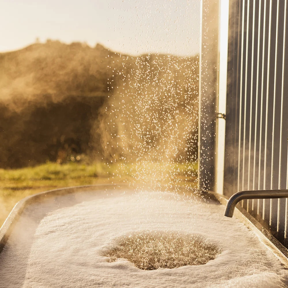 Botanical Shower Steamers - Ylang Ylang (Box of 4)