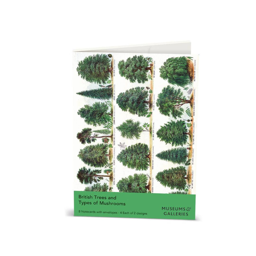 Pack of British Trees and Types of Mushrooms flashcards with green label