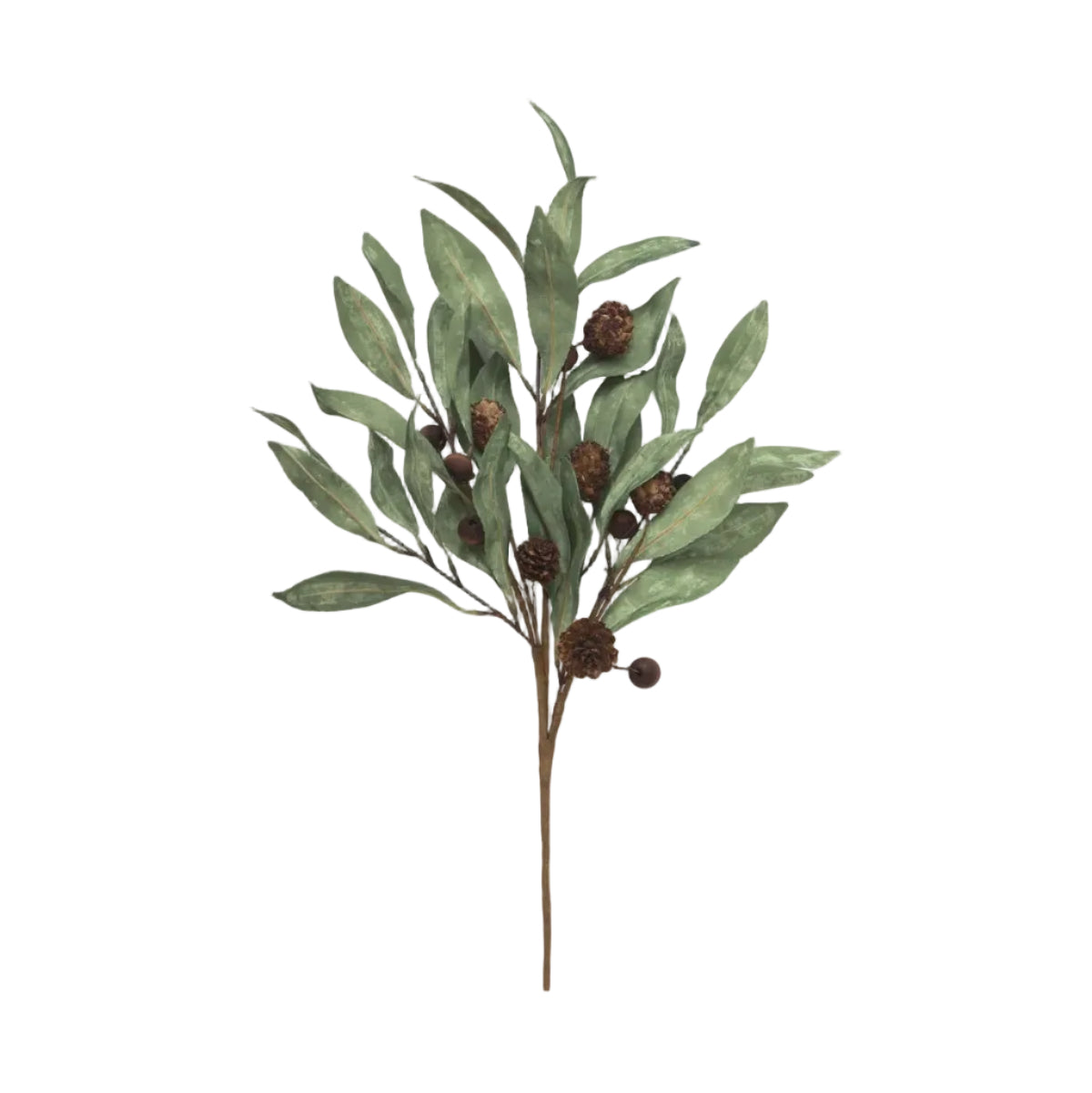 Christmas - Eucalyptus &amp; Brown Berry Wood Branch