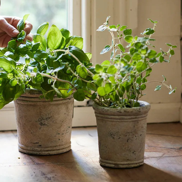 Gris Planter - Medium