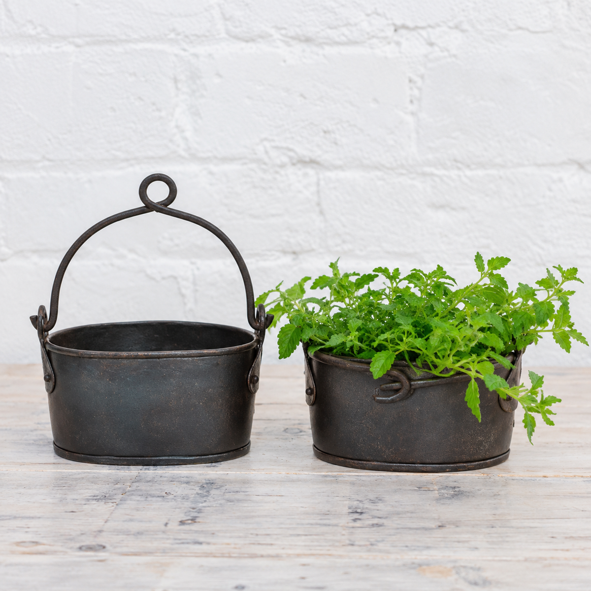 Two rustic black metal planter pots on a light wood surface against a white brick wall, with one pot empty and the other holding a green leafy plant.