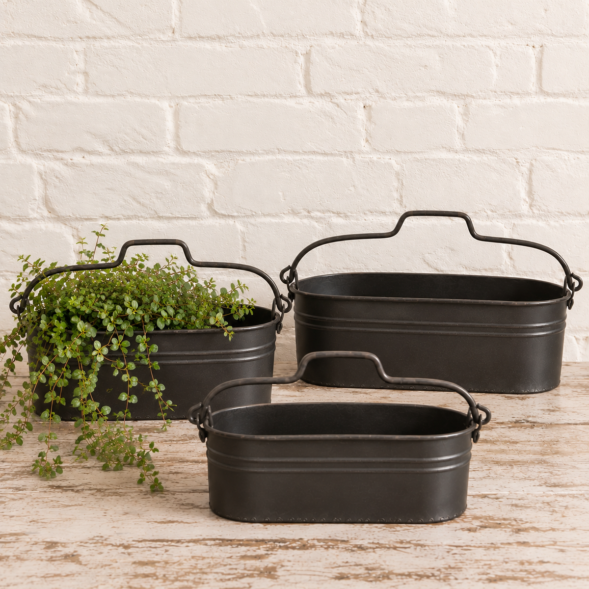 Oval Metal Trugs
