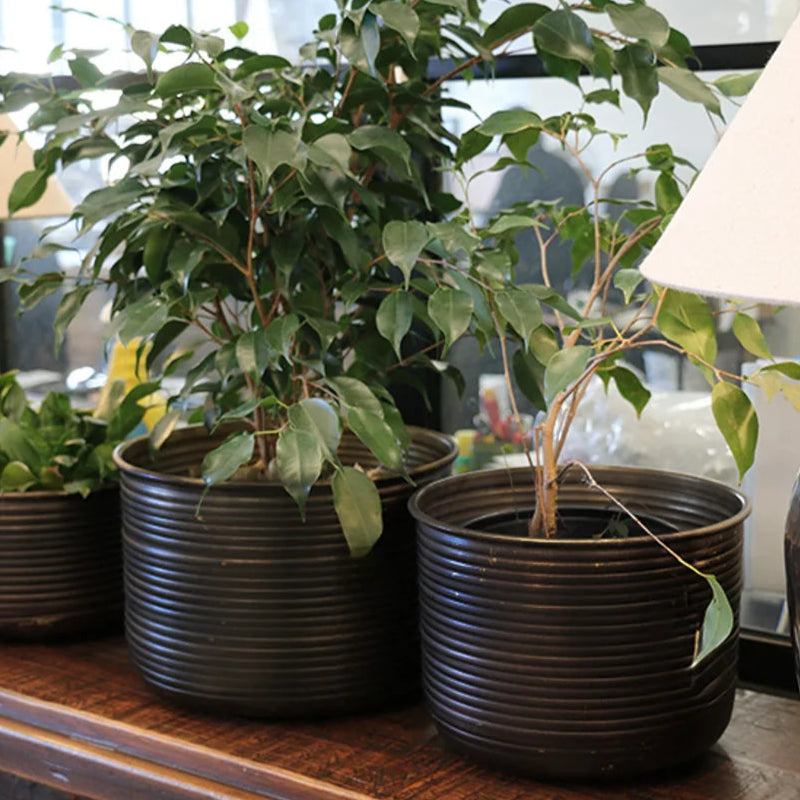 Calypso Planters