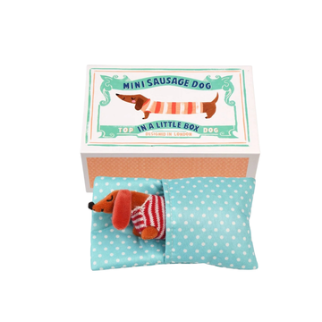 Mini Sausage Dog in a Box