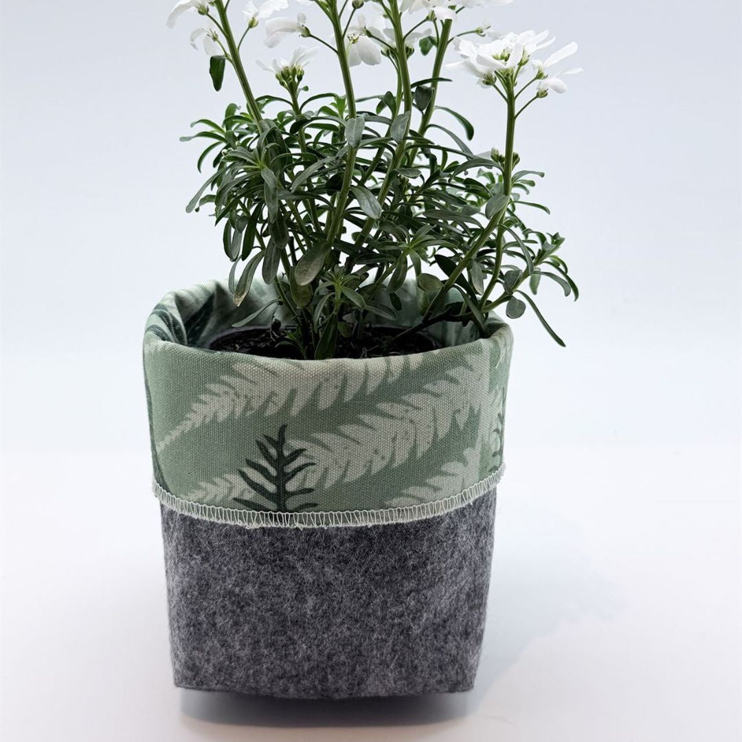 Grow Bags - Mixed Fern