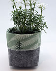 Grow Bags - Mixed Fern