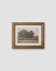 'Stand of Trees' Wall Art by French Country