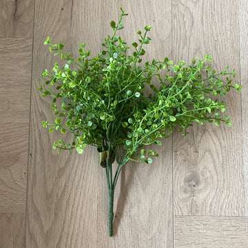 aux Plant - Baby Tears Bush | shelf home and gifts
