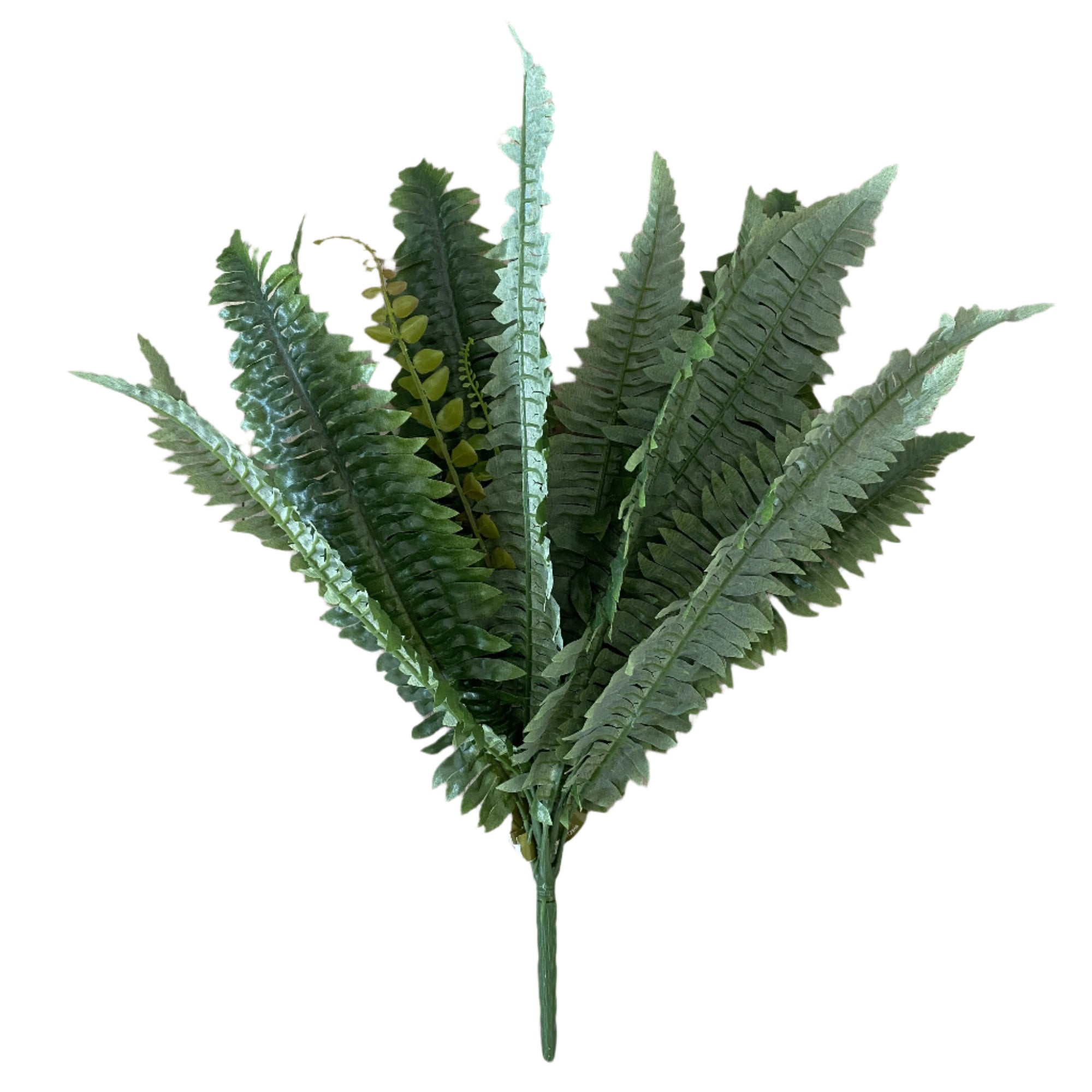 Faux Plant - Boston Fern Bush