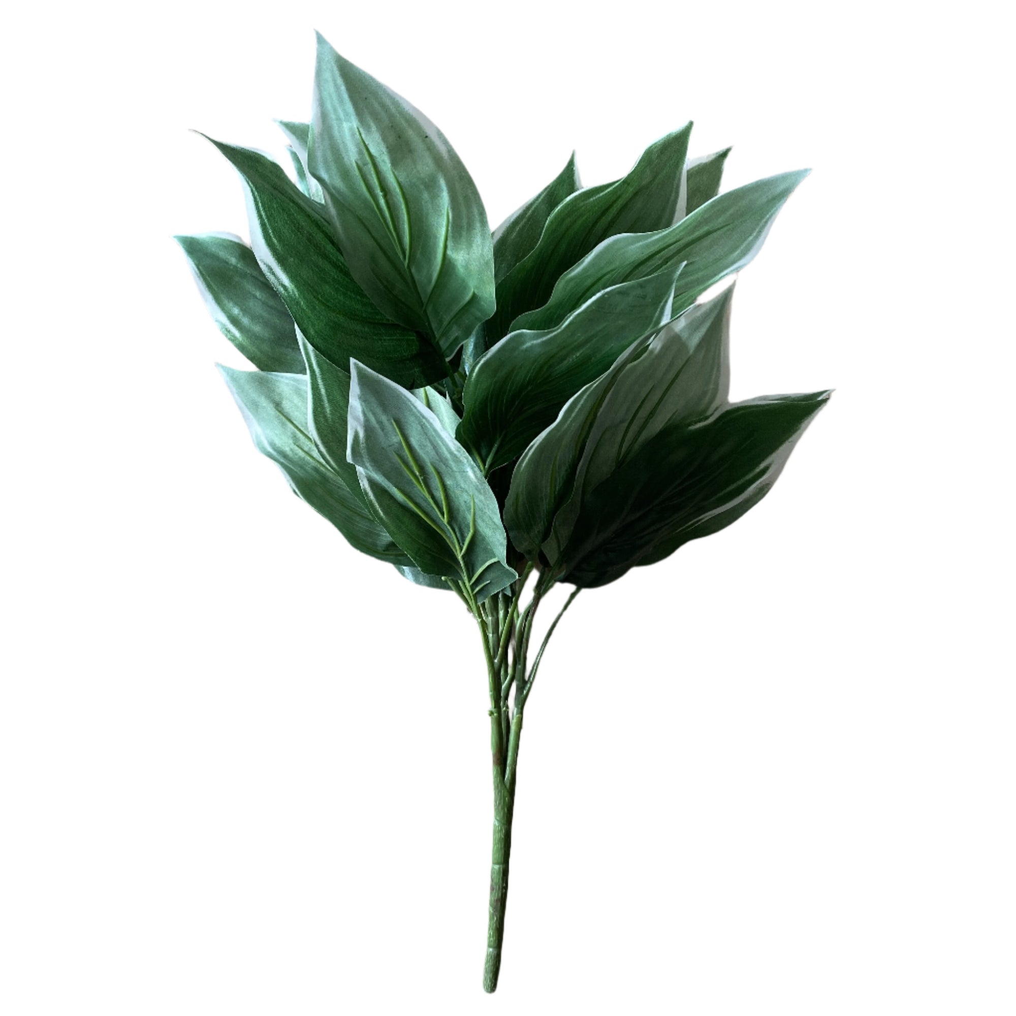 Hosta bunch flower systemsn | shelf home and gifts