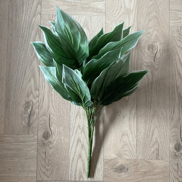 Hosta bunch flower systemsn | shelf home and gifts