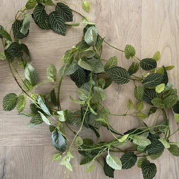 Faux Plant - Fittonia Garland