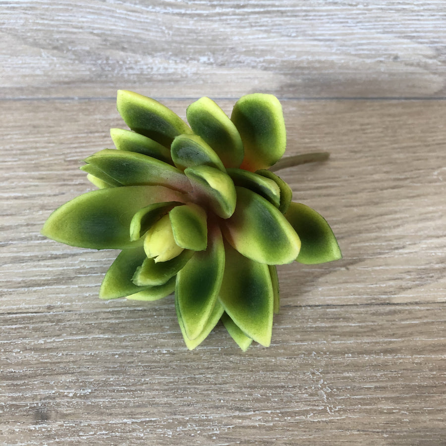 Faux Plant - Lotus Succulent | Green & Yellow