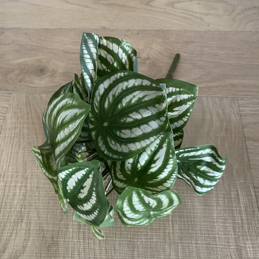 Faux Plant - Peperomia Bush