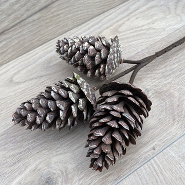 Pinecone Pick