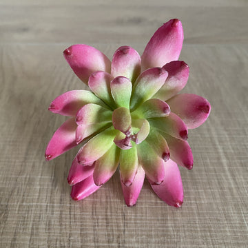 Faux Plant - Albiflora Sedum Pink