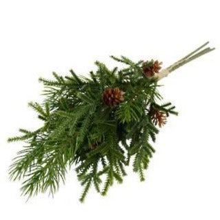 Mini Pine Cone Bush