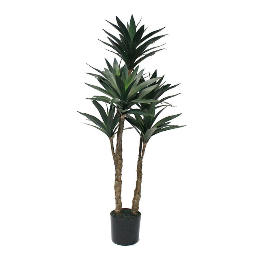 Faux Plant - Potted Draceana