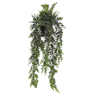 Faux Plant - Potted Hanging Eucalpytus Green/Grey by Flower Systems