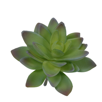 Faux Plant - Lotus Succulent | Green & Grey