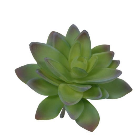 Faux Plant - Lotus Succulent | Green & Grey