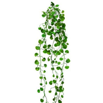 Faux Plant - Button Fern Vine flOWER SYSTEMS
