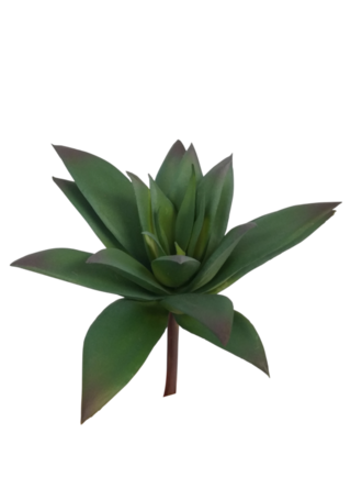 Faux Plant - Graptoveria Succulent