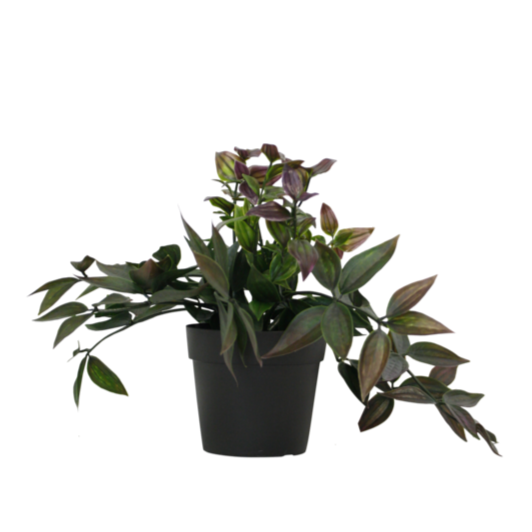 Faux Plant - Potted Wandering Dew Bush Medium