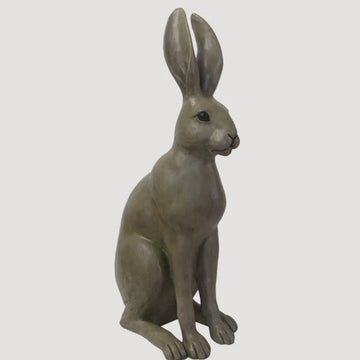 Harold-the-Hare-Brown-from-french-country