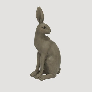 Harold the Hare Turning - Small Brown by French COuntry
