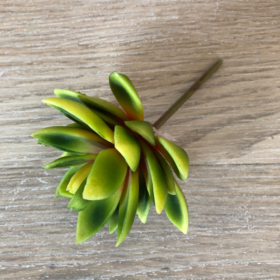Faux Plant - Lotus Succulent | Green & Yellow