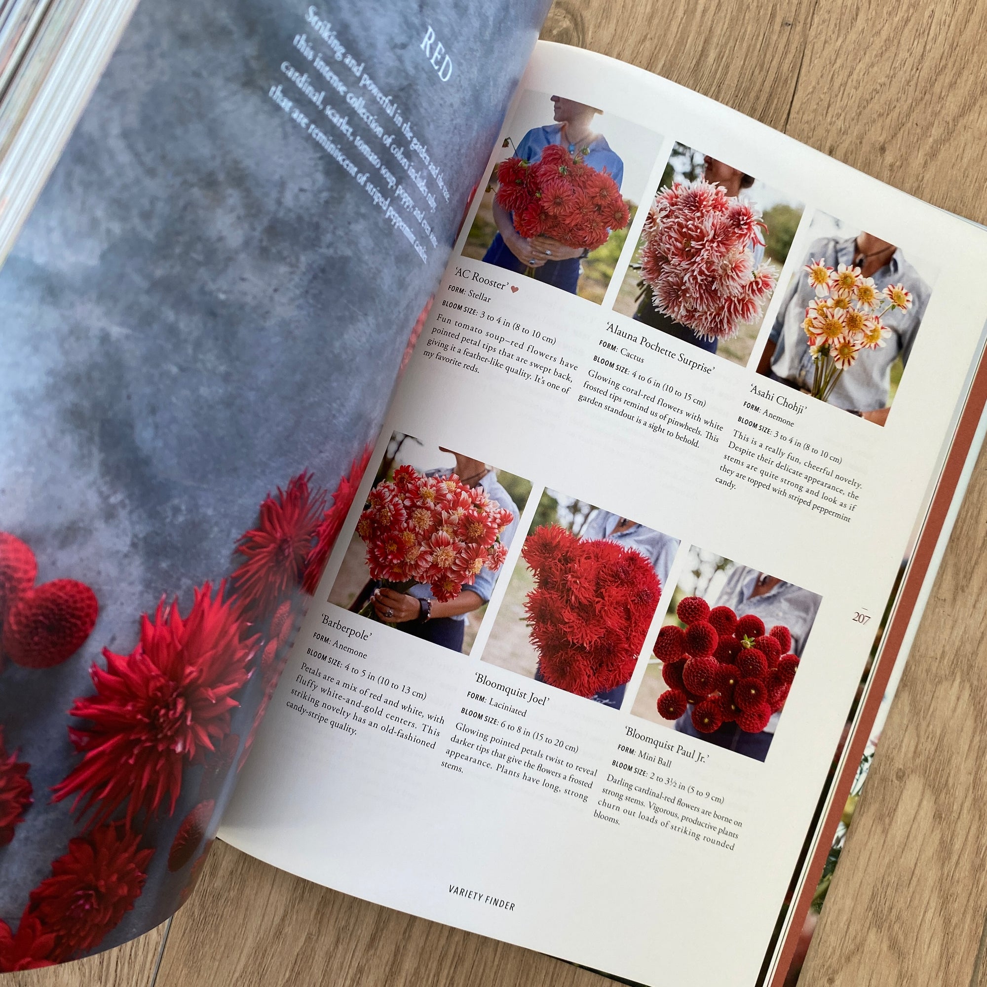 Floret Farms Discovering Dahlias | shelf home and gifts