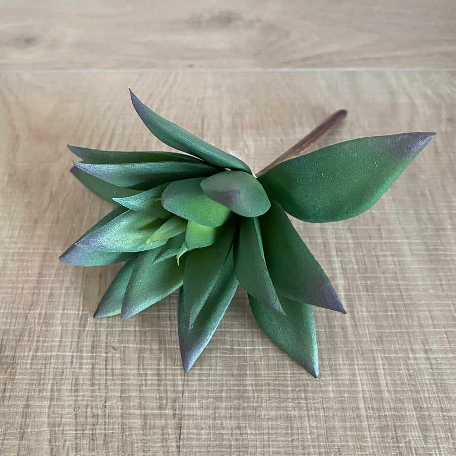 Faux Plant - Graptoveria Succulent