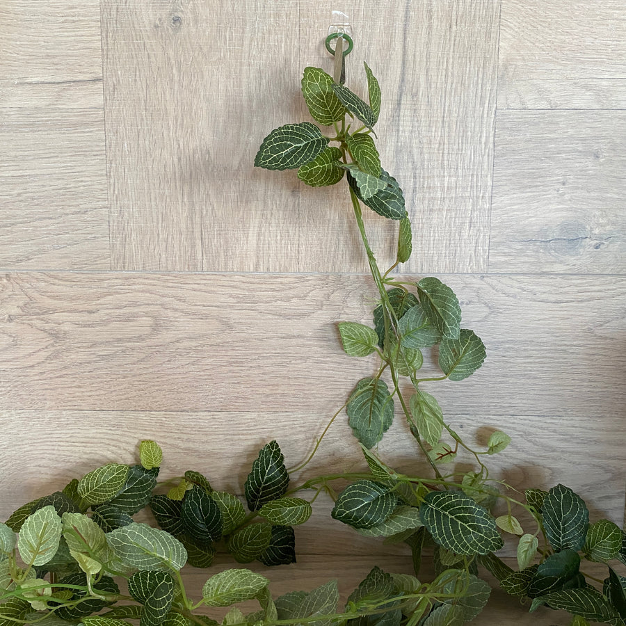 Faux Plant - Fittonia Garland