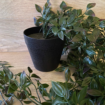 Faux Plant - Potted Wandering Dew Bush