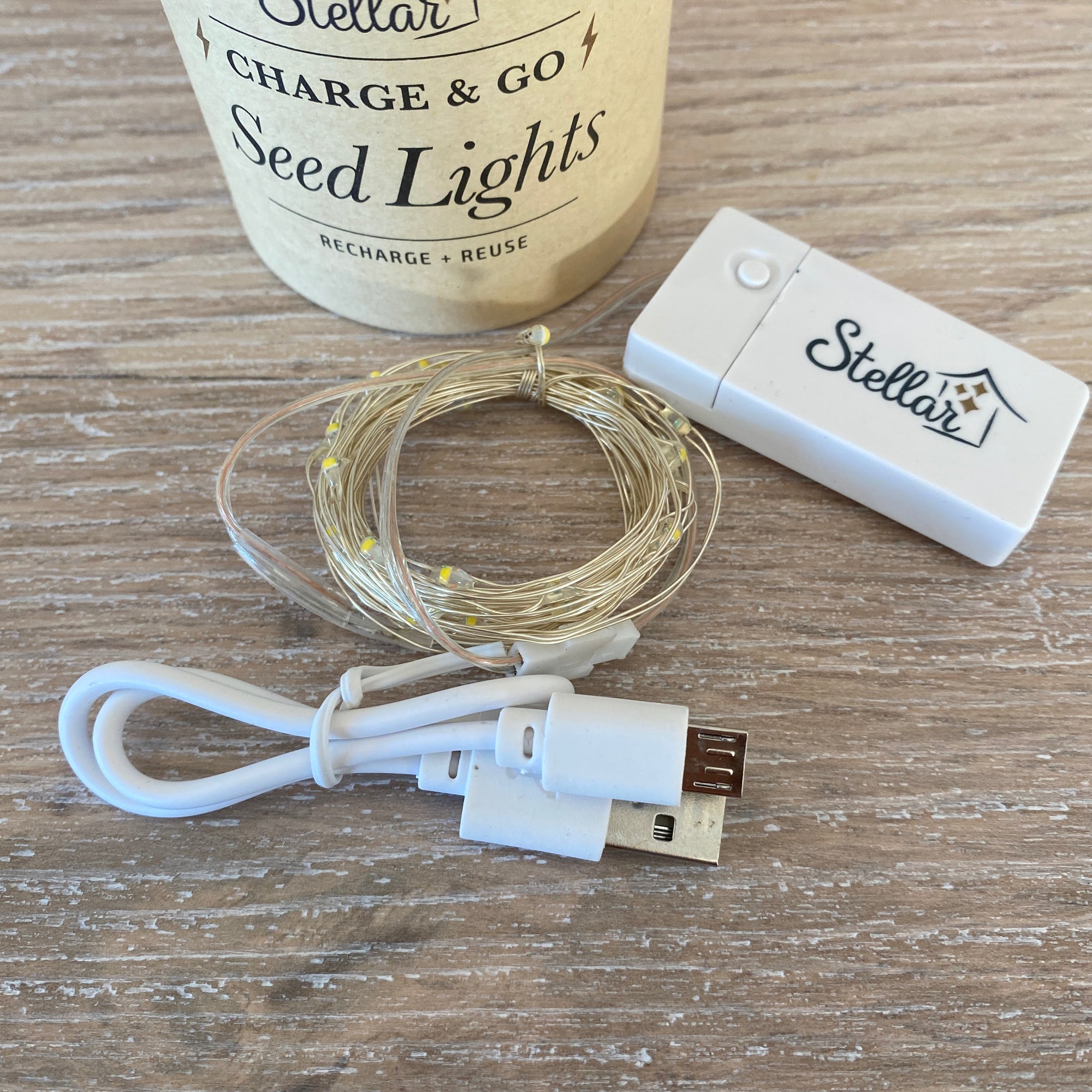 Charge and Go Silver Seed Lights - 3m