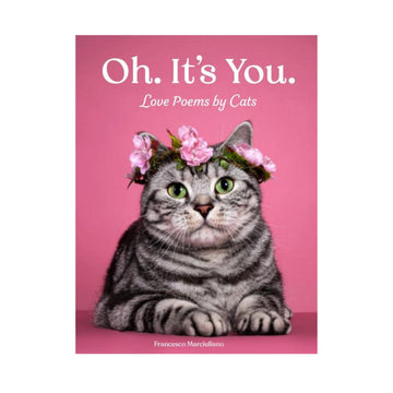 Oh. It's You. Love Poems by Cats Book