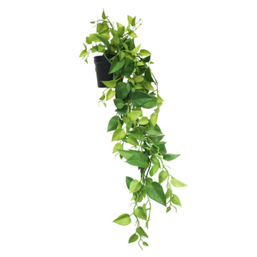 Faux Plant - Potted Hanging Heart Leaf Philodendron