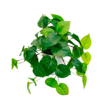 Faux Plant - Potted Philo Bush