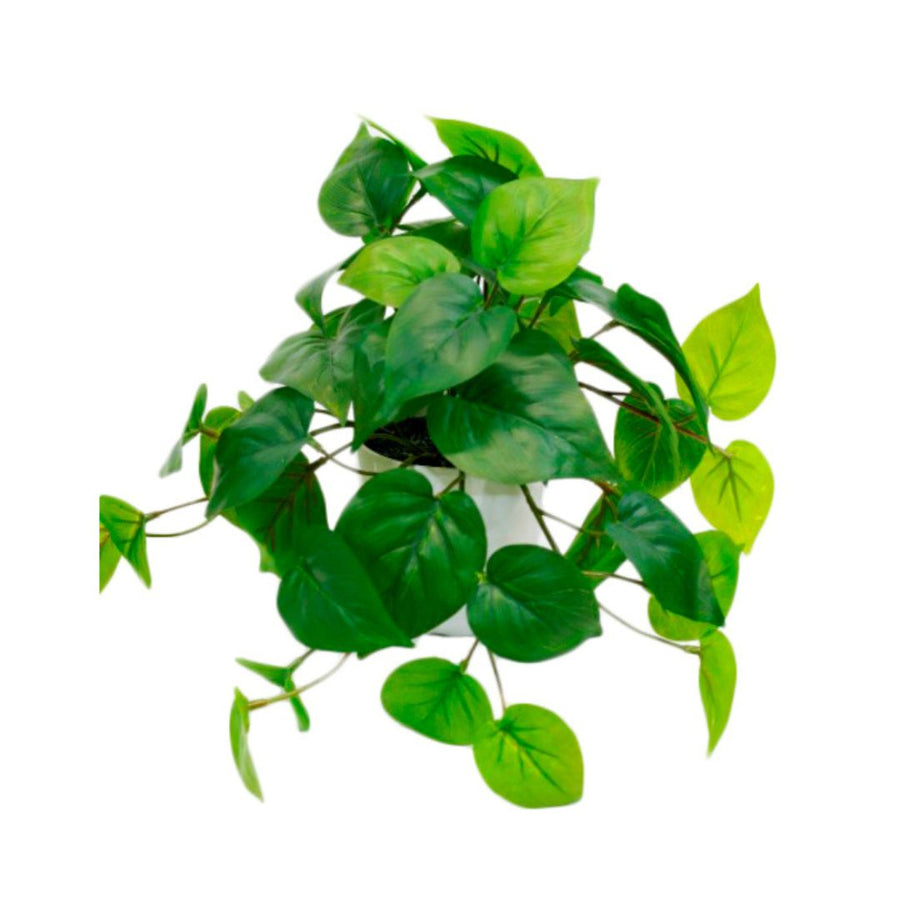 Faux Plant - Potted Philo Bush