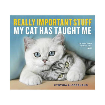 Really Important Stuff My Cat Has Taught Me Book