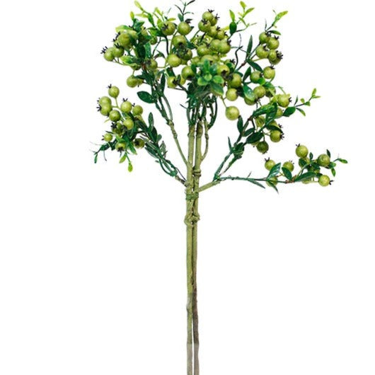 SP 606GR berry cluster stem