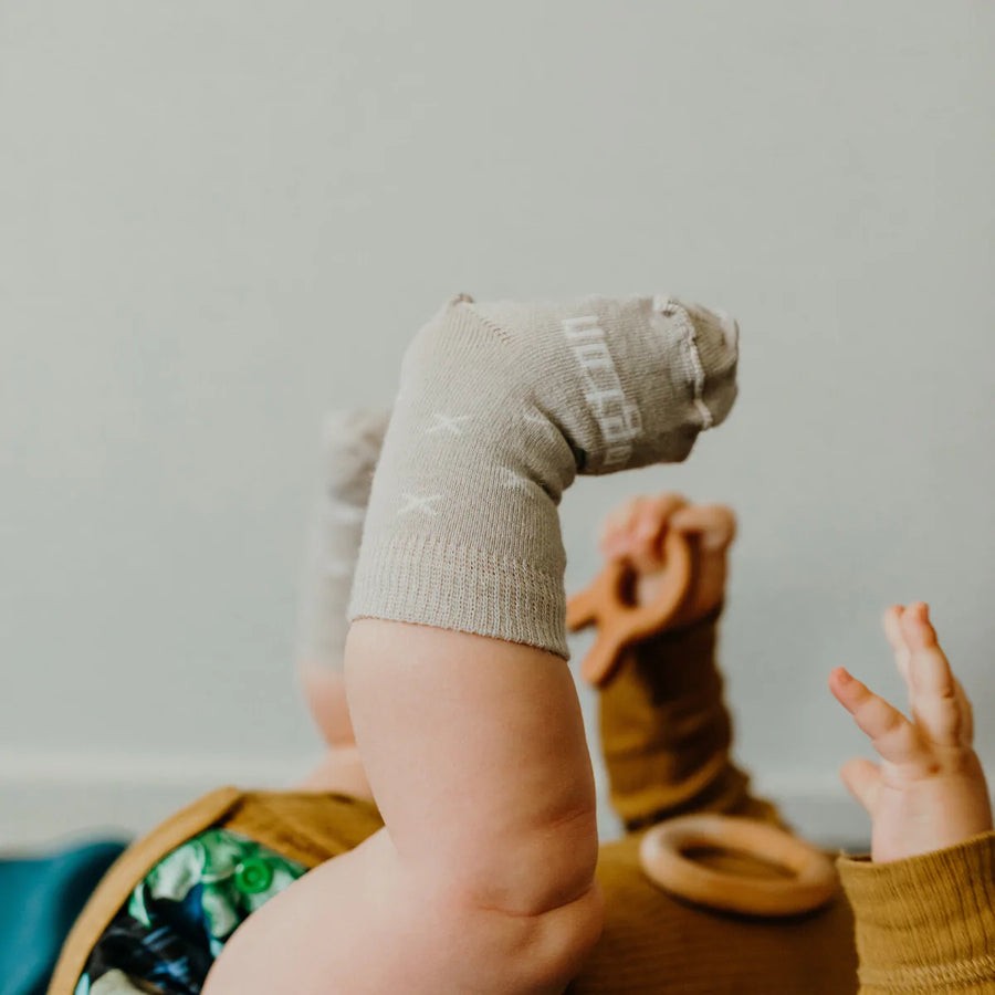 Lamington Babies Socks - ted crew