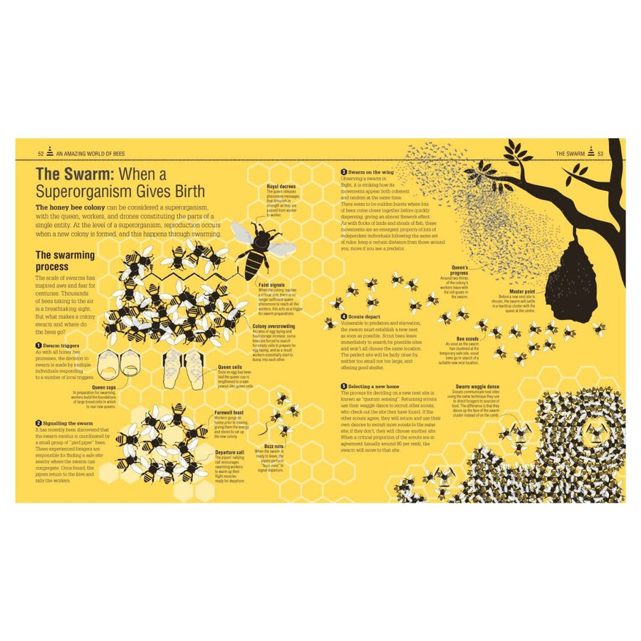 The Bee Book by DK Press Contributions by Emma Tennant, Fergus Chadwick