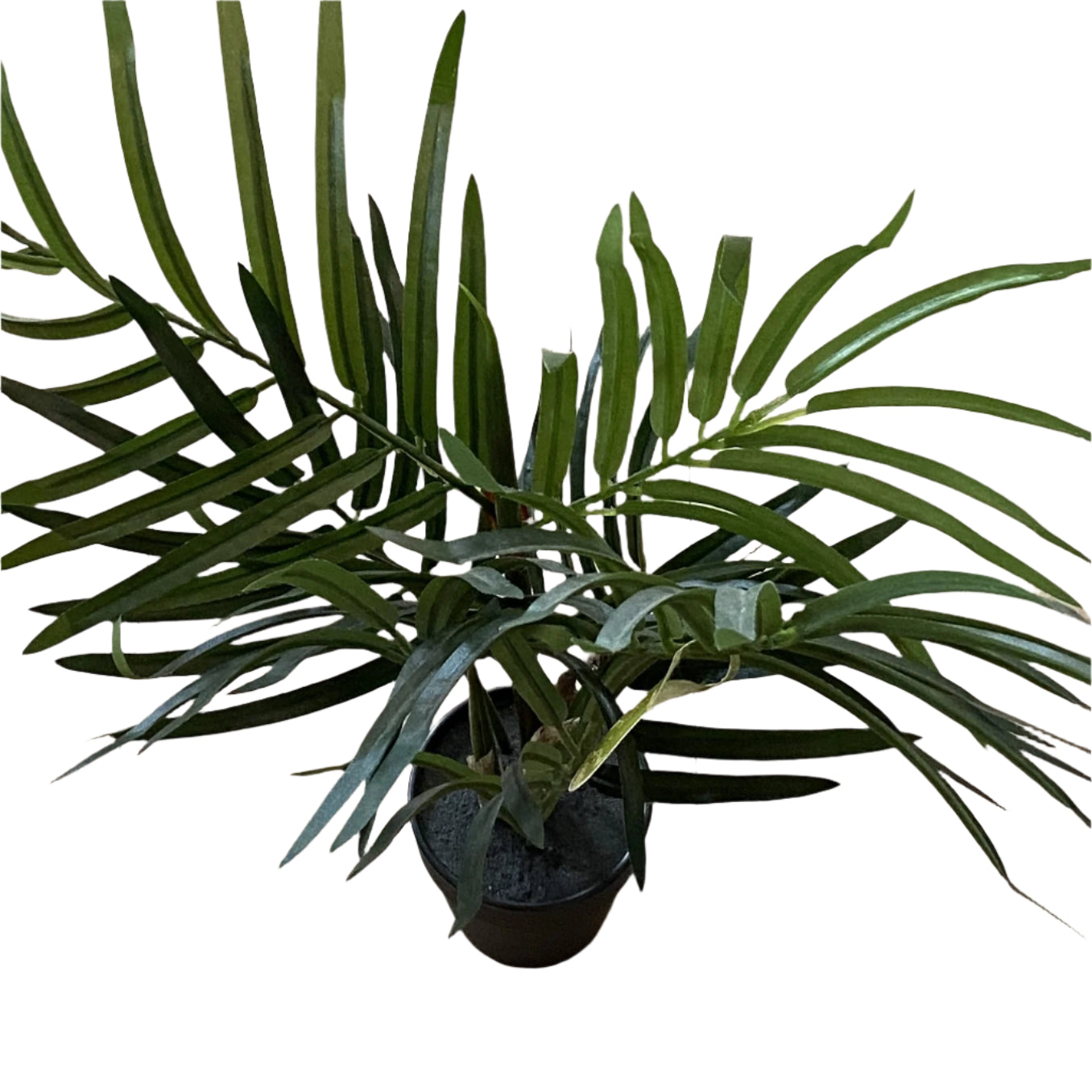 Potted faux palm flower systems | shelf home and gifts