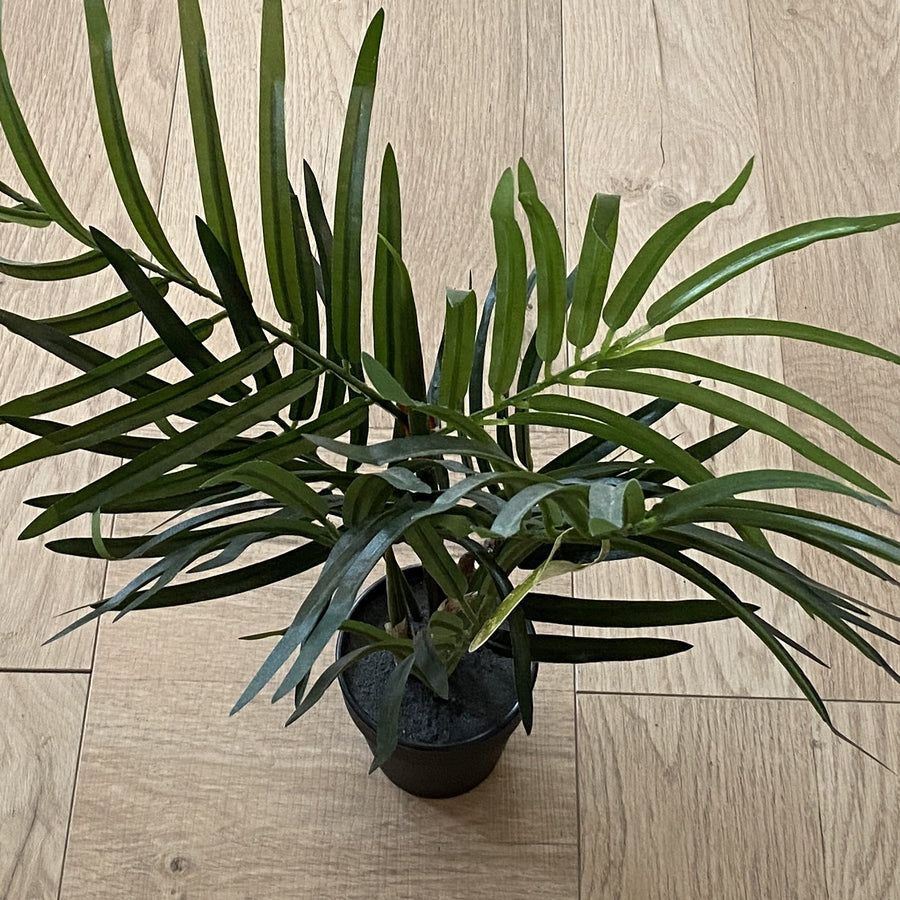 Potted faux palm flower systems | shelf home and gifts
