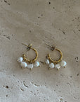 Earrings - Pearl | Gold - 4 pearl