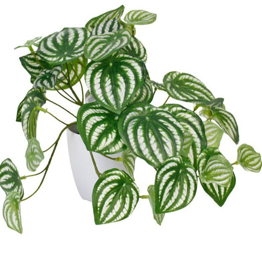 Faux Plant - Potted Watermelon Peperomia
